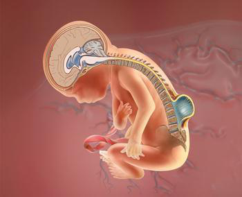 c7c7娱乐平台官网入口(中国游)官方网站