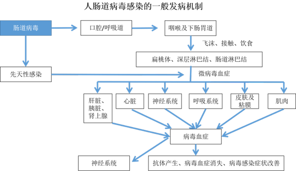 c7c7娱乐平台官网入口(中国游)官方网站