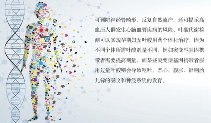 c7c7娱乐平台官网入口(中国游)官方网站