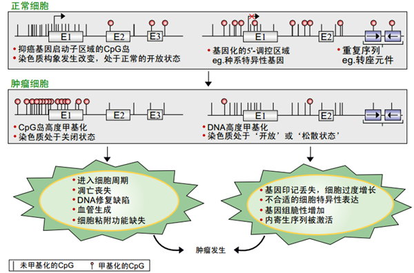 c7c7娱乐平台官网入口(中国游)官方网站