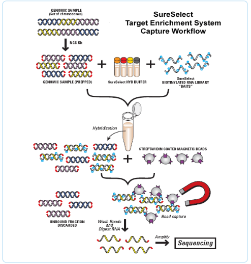 c7c7娱乐平台官网入口(中国游)官方网站