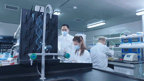 c7c7娱乐平台官网入口(中国游)官方网站